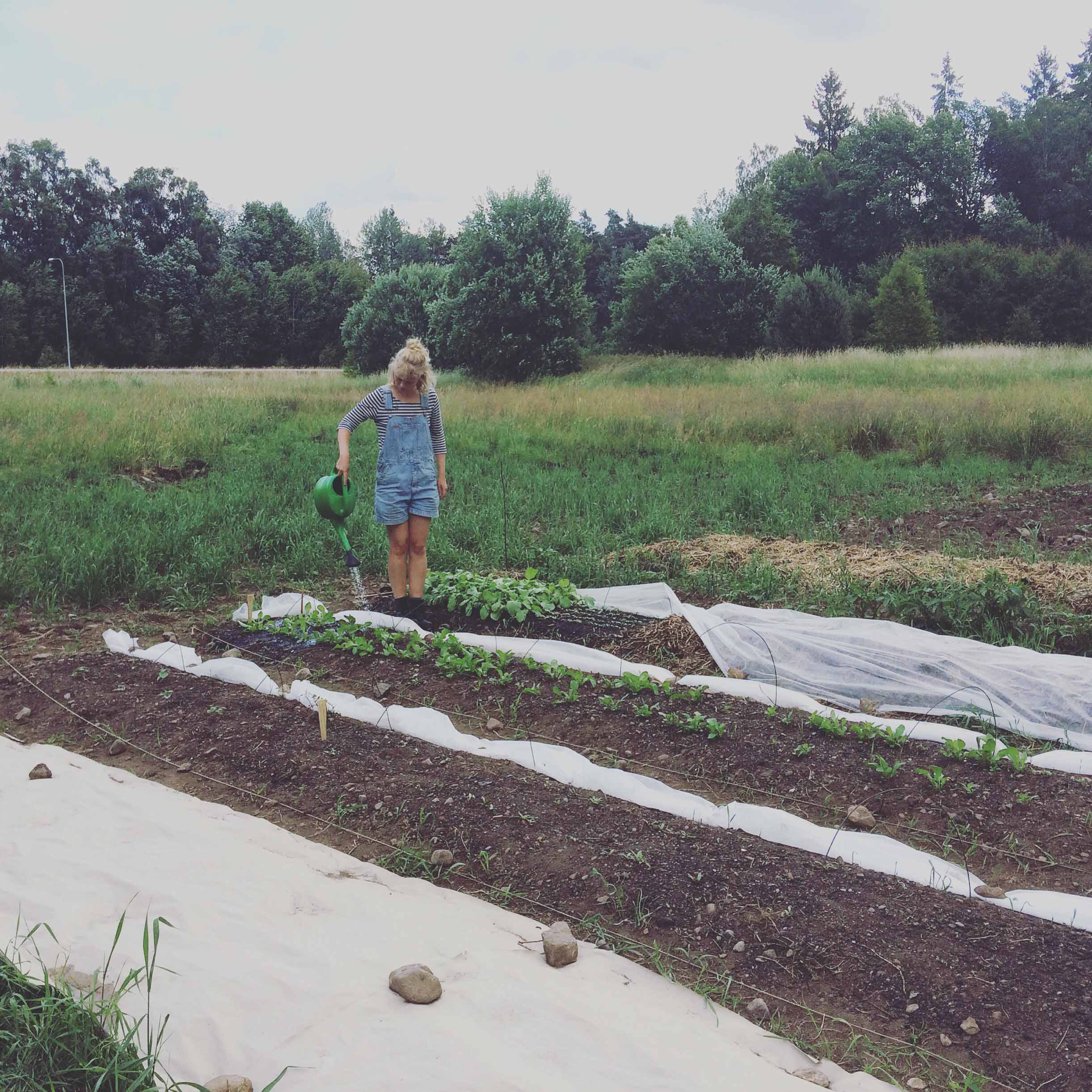 The Feminist Farming Project